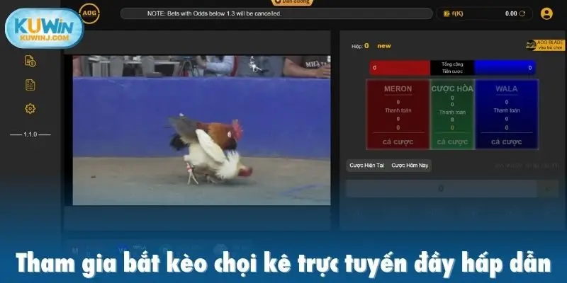 Tham gia bắt kèo chọi kê trực tuyến đầy hấp dẫn