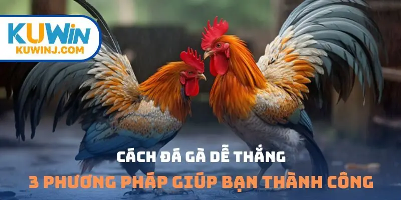 cách đá gà dễ thắng