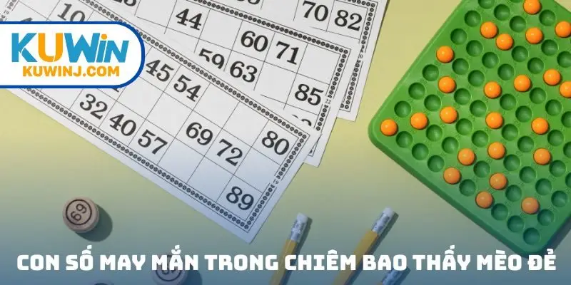 Những con số may mắn trong chiêm bao thấy mèo đẻ