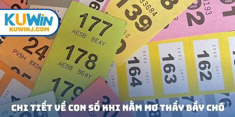 Chi tiết về các con số khi bạn nằm mơ thấy bầy chó
