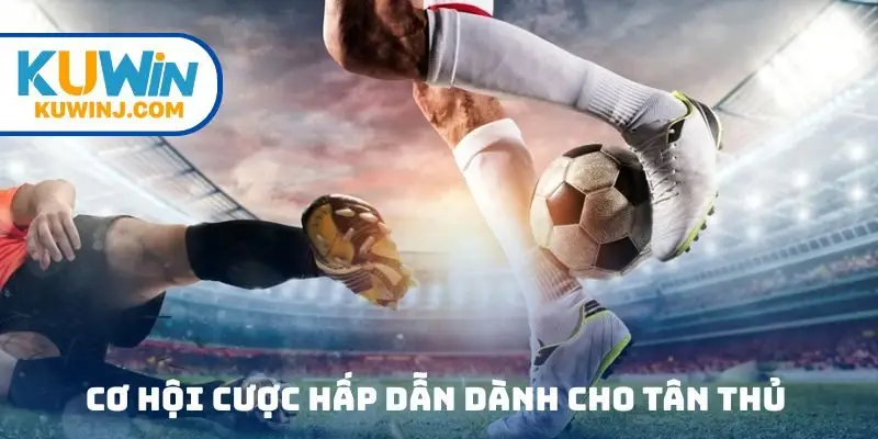 Cơ hội cược hấp dẫn dành cho tân thủ
