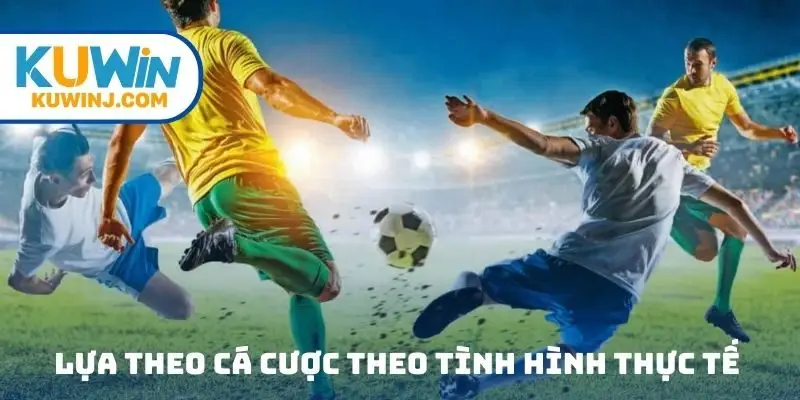Lựa theo cá cược theo tình hình thực tế