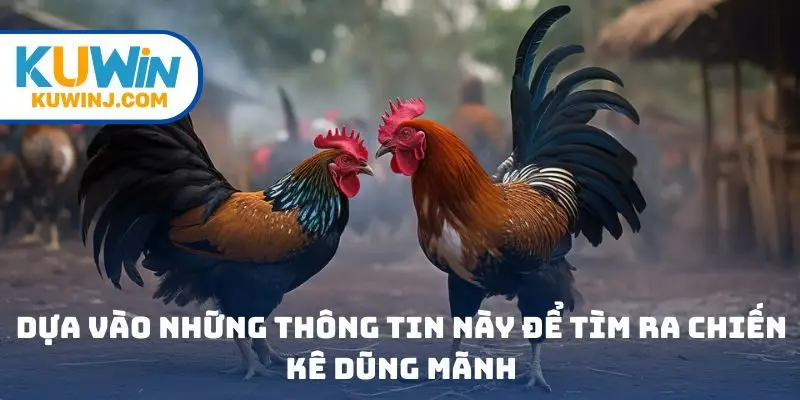 Dựa vào những thông tin này để tìm ra chiến kê dũng mãnh