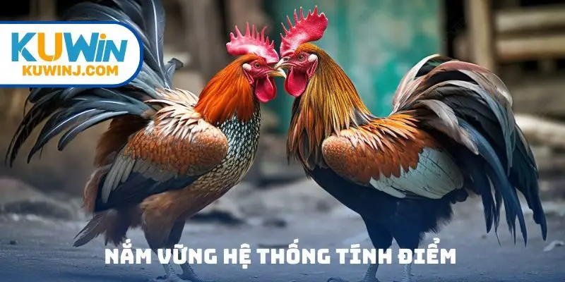 Nắm vững hệ thống tính điểm