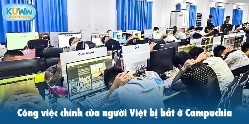 Công việc chính của người Việt bị bắt ở Campuchia