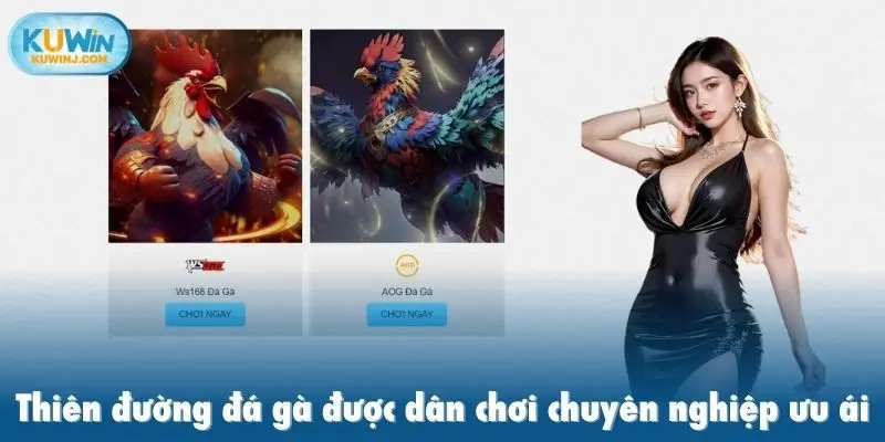 Thiên đường đá gà được dân chơi chuyên nghiệp ưu ái