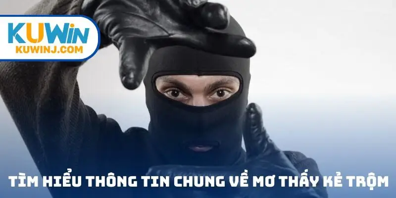 Tìm hiểu thông tin chung về mơ thấy kẻ trộm