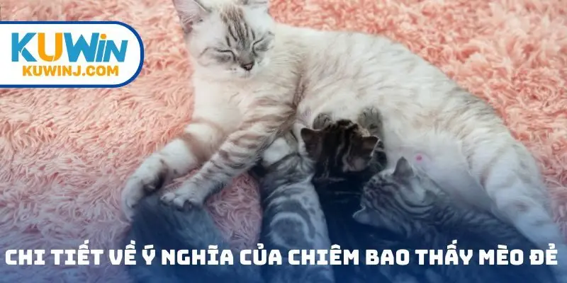 Chi tiết về ý nghĩa của chiêm bao thấy mèo đẻ