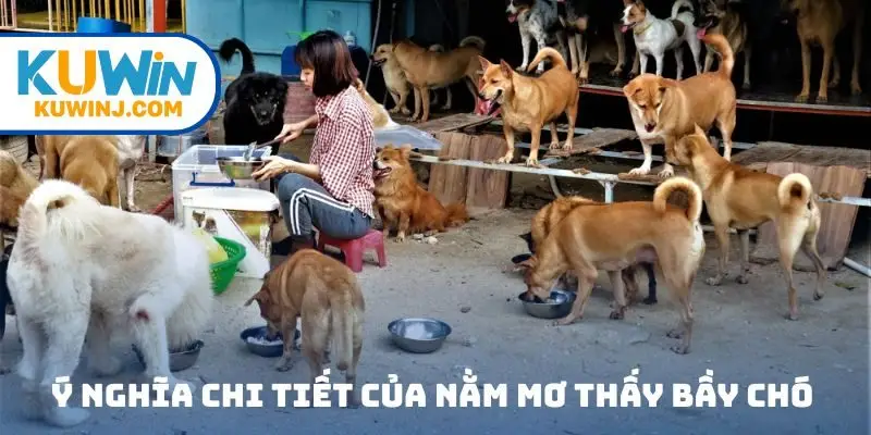 Ý nghĩa chi tiết của nằm mơ thấy bầy chó