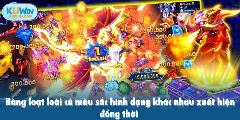 hàng loạt loài cá màu sắc hình dạng khác nhau xuất hiện đồng thời