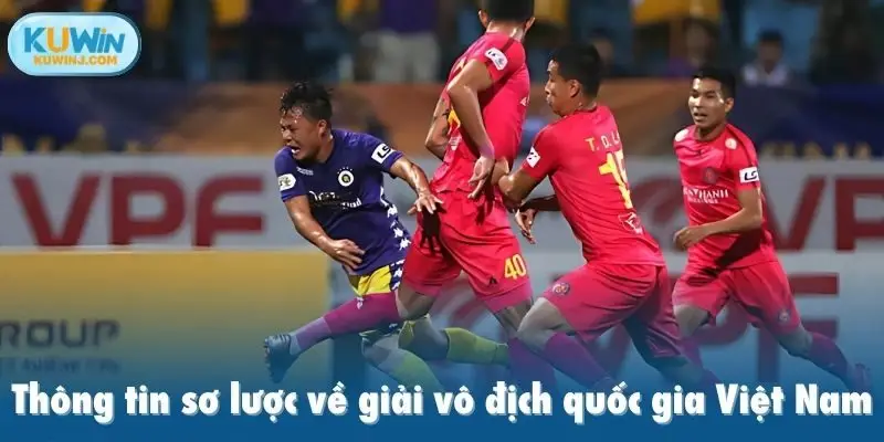 Thông tin sơ lược về giải vô địch quốc gia Việt Nam